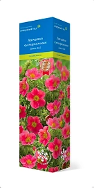 Растение Лапчатка Данни Бой С1 Н37