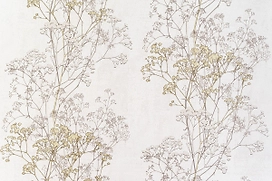 Виниловые обои АРТЕКС Укропы 10306-01 белые 1,06х10 м