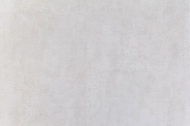 Виниловые обои АРТЕКС Укропы 10307-05 светло-серые 1,06х10 м