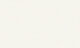 Виниловые обои ERISMANN NEOCHIC 60009-02 ванильные 1,06х10,05 м