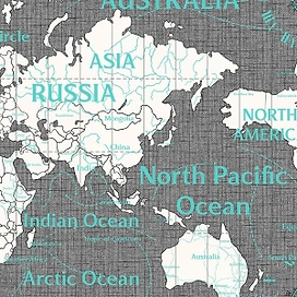 Виниловые обои VernissAGe World Maps 168436-19 1,06x10,05 м серые