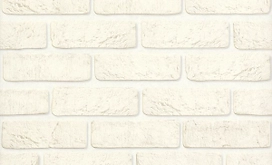 Виниловые обои АСПЕКТ Орхидея 10108-11 белые 0,53x10,05 м