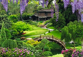 Бумажные обои Восторг Китайский парк 261 2,94х2,01 м