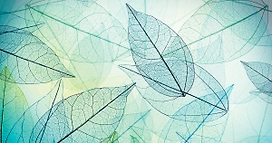 Флизелиновые обои OVK Design Абстрактные листья 630595 1,3x2,5 м