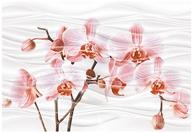 Вставка La Favola Орхидея белый 40x28 см