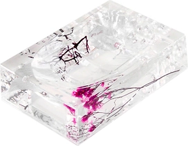 Мыльница Verran Silven металлик