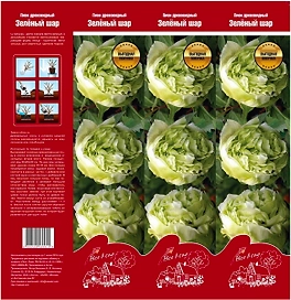 Саженец пиона древовидного Зеленый шар