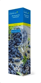 Саженец Жимолость Челябинка C1 H37