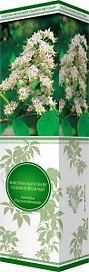 Саженец Каштан конский С1 Н37