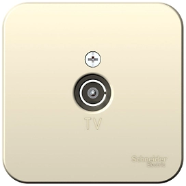 Розетка Schneider Electric Blanca BLNTA000012