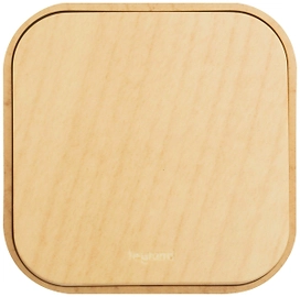 Выключатель Legrand Quteo сосна 782260