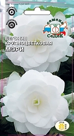 Семена Бегонии СеДеК Мэри белая 10 г