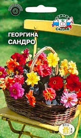 Семена Георгины СеДеК Сандро 0,2 г