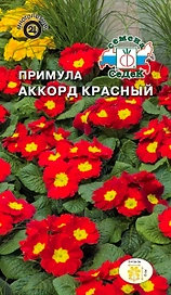 Семена Примулы СеДеК Аккорд красный 5 г