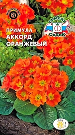 Семена Примулы СеДеК Аккорд оранжевый 5 г