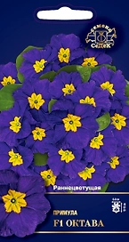Семена Примулы СеДеК Октава F1 5 г