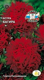 Семена Астры СеДеК Багира 0,2 г