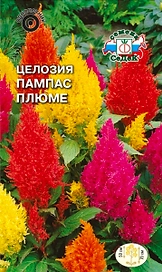 Семена Целозии СеДек Пампас Плюме 0,2 г