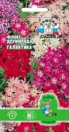Семена Флокса друммонда СеДеК Галактика смесь 3 г
