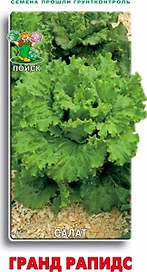 Семена Салата ПОИСК Гранд Рапидс 1 г