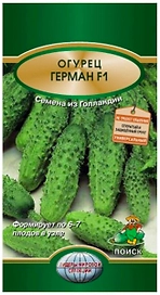 Семена Огурца ПОИСК Герман F1 12 шт