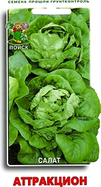 Семена Салата ПОИСК Аттракцион 1 г