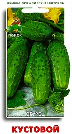 Семена Огурца ПОИСК Кустовой 15 шт