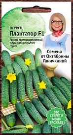 Семена Огурца Октябрина Ганичкина Плантатор F1 7 шт 2 г