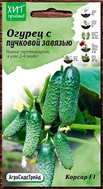 Семена Огурца АгроСидсТрейд Корсар F1 7 шт 2 г