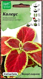 Семена Колеуса АгроСидсТрейд Визард скарлет 2 г