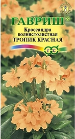 Семена Кроссандры ГАВРИШ Тропик красная 3 шт