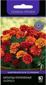 Семена Бархатца ПОИСК Файрбол 10 шт