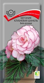 Семена Бегонии ПОИСК Шанель бело-розовая 5 шт