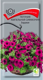 Семена Петунии ампельной ПОИСК Симфония бордовая 0,01 г