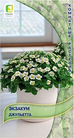 Семена Экзакума ПОИСК Джульетта 5 шт