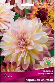 Клубень георгины ПОИСК Карибиан Фэнтази 1 шт