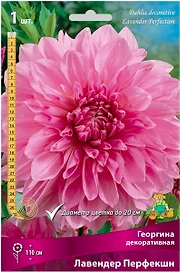 Клубень Георгины ПОИСК Лавендер Перфекшн