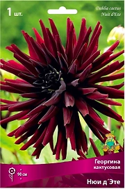 Клубень Георгины кактусовой ПОИСК Нюи д'Эте