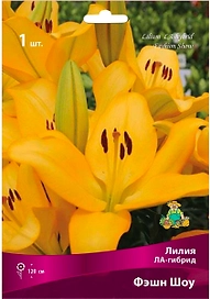 Луковица Лилии ЛА-гибрид ПОИСК Фэшн Шоу