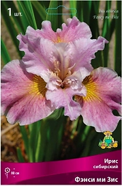 Луковица Ириса ПОИСК Фэнси ми Зис