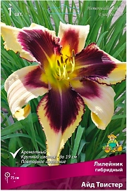Луковица Лилейника ПОИСК Айд Твистер