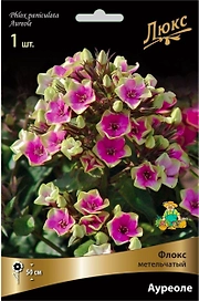 Корневище Флокса ПОИСК Люкс Ауреоле