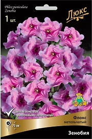 Корневище Флокса ПОИСК Люкс Зенобия