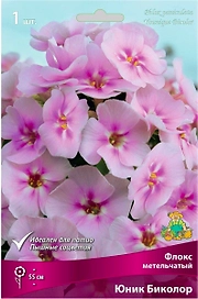Корневище Флокса ПОИСК Юник Биколор