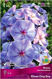 Корневище Флокса ПОИСК Юник Олд Блу