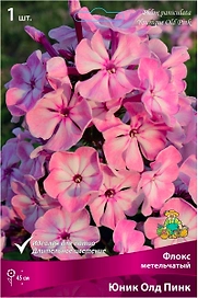 Корневище Флокса ПОИСК Юник Олд Пинк