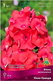 Корневище Флокса ПОИСК Юник Ориндж
