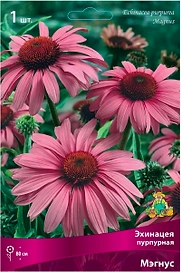 Корневище Эхинацеи ПОИСК Мэгнус