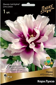 Корневище Пиона ПОИСК Люкс Кора Луиза