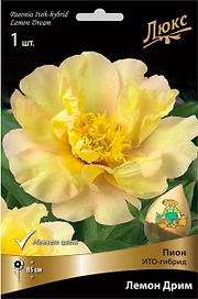 Корневище Пиона ПОИСК Люкс Лемон Дрим